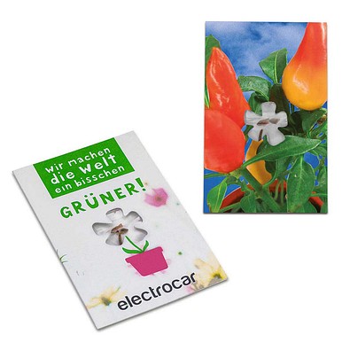 Samen-Karte-Mini Blume, Gewürzpaprika, 2-seit. Druck