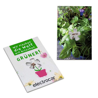 Samen-Karte-Mini Blume, Kräutermischung, 2-seit. Druck