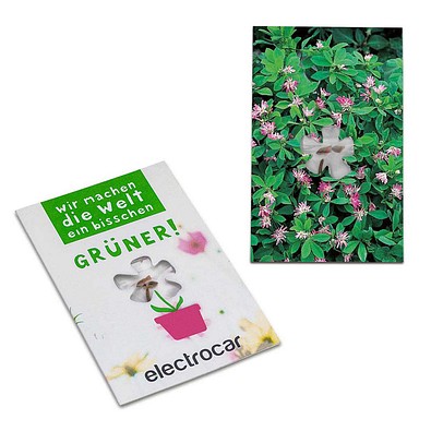 Samen-Karte-Mini Blume, Ostern, Persicher Klee, 2-seit. Druck