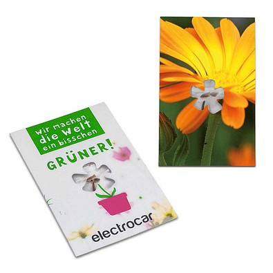 Samen-Karte-Mini Blume, Ostern, Ringelblume, 2-seit. Druck