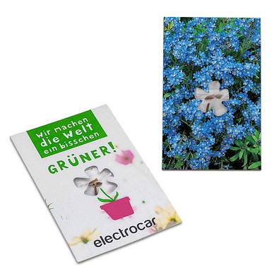 Samen-Karte-Mini Blume, Ostern, Vergissmeinnicht, 2-seit. Druck
