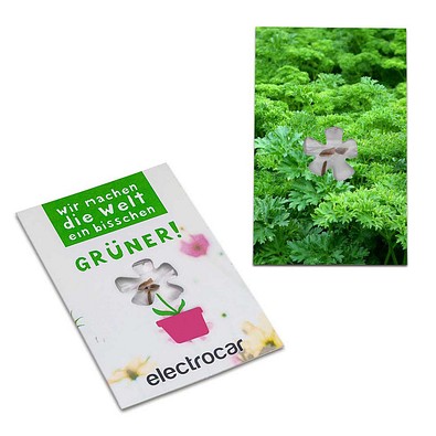 Samen-Karte-Mini Blume, Petersilie, 2-seit. Druck