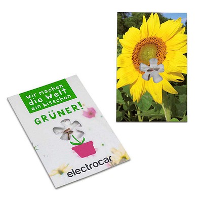 Samen-Karte-Mini Blume, Sonnenblume, 2-seit. Druck