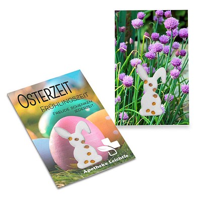Samen-Karte-Mini Ostern, Schnittlauch, 2-seit. Druck