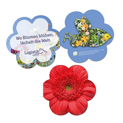 Samenpapier in Klappkärtchen Blume, Bienchen, 2-seit. Druck
