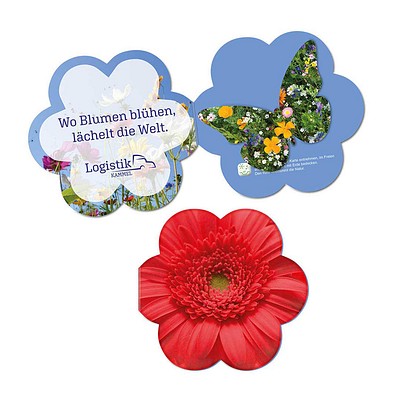 Samenpapier in Klappkärtchen Blume, Schmetterling, 2-seit. Druck