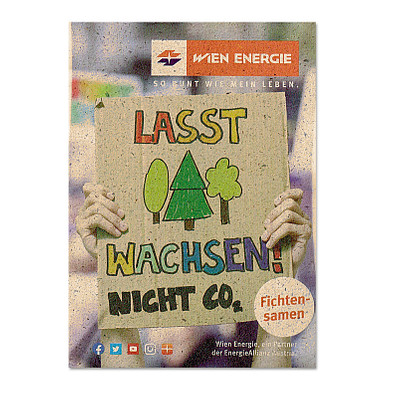 Samentütchen Mini - Graspapier - Fichte, braun