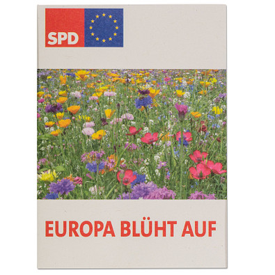 Samentütchen Mini - Recyclingpapier - Vergissmeinnicht, braun Samentütchen Mini - Recyclingpapier - Vergissmeinnicht, braun