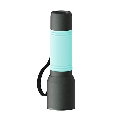 Taschenlampe REEVES-myFLASH 300, anthrazit/mint