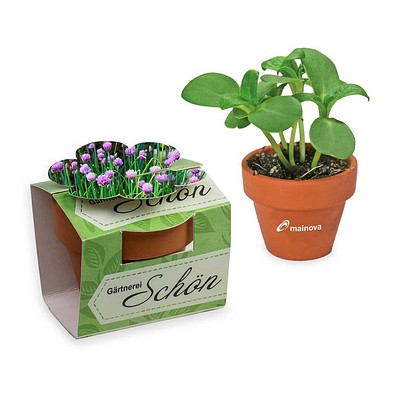 Tontöpfchen-Blume inkl. Samen - Schnittlauch, inkl. Druck, individuell