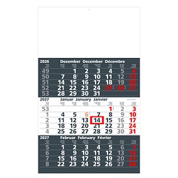 Geiger-Notes 3-Monats-Wandkalender Basic 2027, dunkelgrau