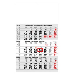 Geiger-Notes 3-Monats-Wandkalender Basic 2027, hellgrau