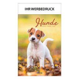 Bild-Wandkalender Hunde 2026