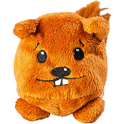 Minifeet® Displayreiniger Schmoozies, Eichhörnchen