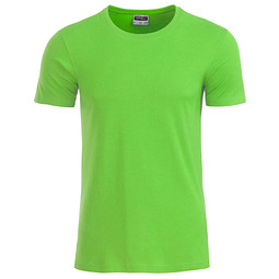 JAMES & NICHOLSON Herren T-Shirt Basic aus Bio-Baumwolle, hellgrün, S