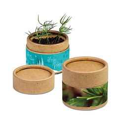 Pflanz-Cup inkl. Samen - Weihnachten - Fichte, inkl. Druck, individuell