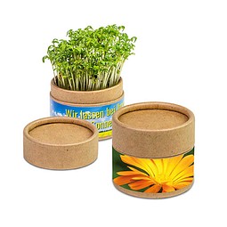 Pflanz-Cup inkl. Samen - Ringelblume, inkl. Druck, individuell