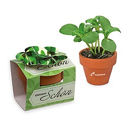 Tontöpfchen-Blume inkl. Samen - Glücksklee-Zwiebeln, inkl. Druck, individuell