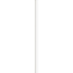 BIC® Evolution® Ecolutions® Cut Bleistift Weiß Ungeschärft