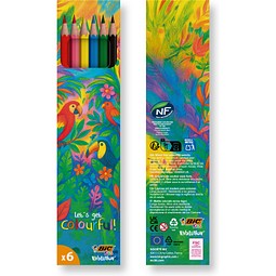 BIC® Kids Evolution® Colouring set x 6 units -Box Mehrfarbig