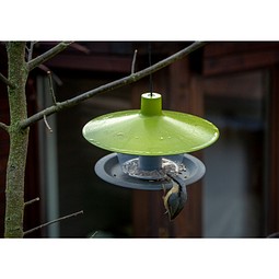BIRDIE Vogel Futterhaus Made in Europe