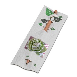 Bleistift im Samenpapieretui - Ostern - Kopfsalat, inkl. Druck, individuell