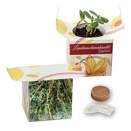 Blumenampel, Thymian, 1-seit. Druck