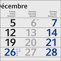 Geiger-Notes Monatskalender Budget 4 green+blue, inkl. Druck, blau