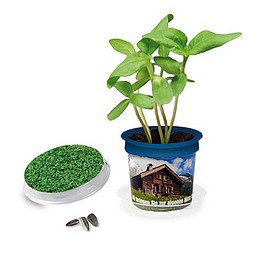 Florero-Töpfchen mit Samen, blau, Gartenkresse, 1-seit. Druck