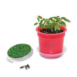 Florero-Töpfchen mit Samen, rot, Gartenkresse, 1-seit. Druck