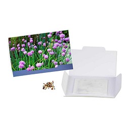 Flower-Card mit Samen, Schnittlauch, 1-seit. Druck