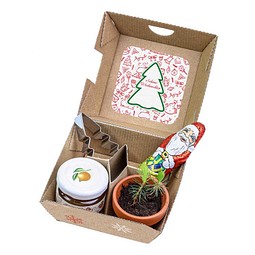 Geschenk-Set Xmas, Standardmotiv