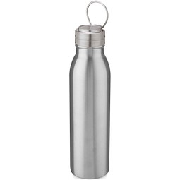 Harper 700 ml Sportflasche aus Edelstahl mit Metallschlaufe, silber