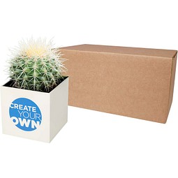 Hey Pots Blumentopf aus Aluminium, Kaktus, weiss