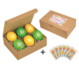 LogoEi 6er  Snack-Box - bunt sortiert