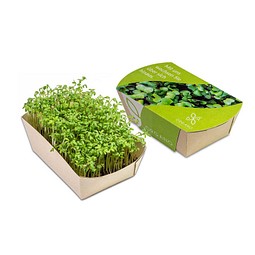 Microgreens-Gärtchen, Kresse, 1-seit. Druck