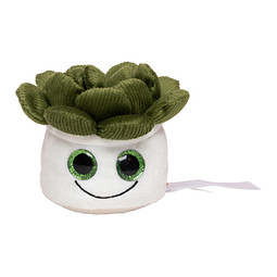 MiniFeet® Displayreiniger Schmoozies® Evergreenies® Sukkulente