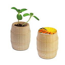 Pflanz-Fässchen mit Samen, Ringelblume, 1-seit. Druck