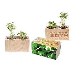 Pflanz-Holz 2er Set mit Samen, Glücksklee