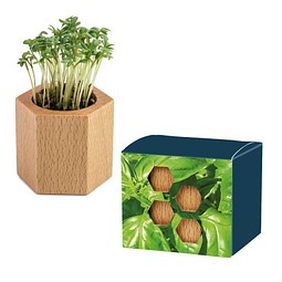 Pflanz-Holz Hexagon mit Samen, Ostern, Basilikum, 1-seit. Druck