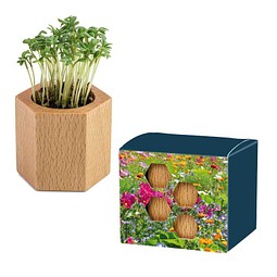 Pflanz-Holz Hexagon mit Samen, Sommerblumenmischung, 1-seit. Druck
