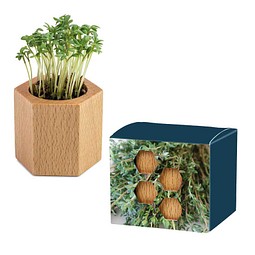 Pflanz-Holz Hexagon mit Samen, Thymian, 1-seit. Druck
