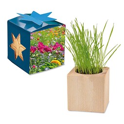 Pflanz-Holz Maxi Star-Box mit Samen, Sommerblumenmischung, 1-seit. Druck