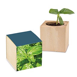 Pflanz-Holz mit Samen, Ostern, Basilikum, 1-seit. Druck