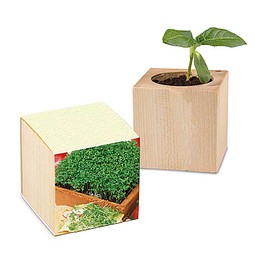 Pflanz-Holz mit Samen (Graspapier-Banderole), Gartenkresse, 1-seit. Druck