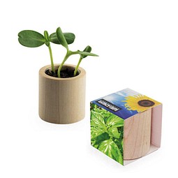 Pflanz-Holz rund mit Samen, Basilikum, 1-seit. Druck