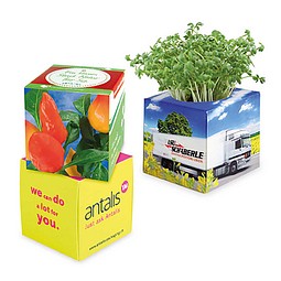Pflanz-Würfel 2.0 mit Samen, Gewürzpaprika, 1-seit. Druck