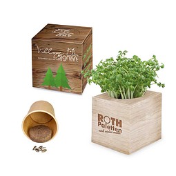 Pflanz-Würfel 2.0 mit Samen, Ostern, Eierbaumsamen, 1-seit. Druck