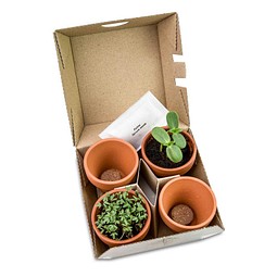 Pflanzen-Mix Winter-Set, 1-seit. Druck