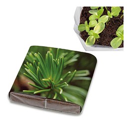 PopUp Anzuchterde mit Samen, Fichte, 1-seit. Druck